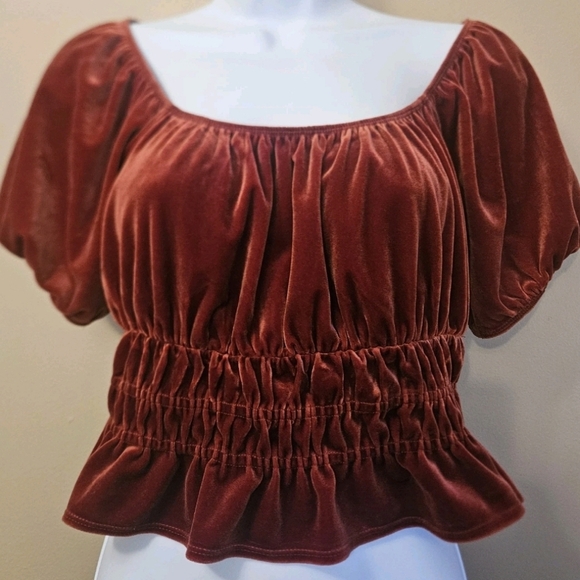 Forever 21 Women's Size L Velvet Orange Cropped Peasant Top Puff Sleeve Bohemian - Picture 1 of 4